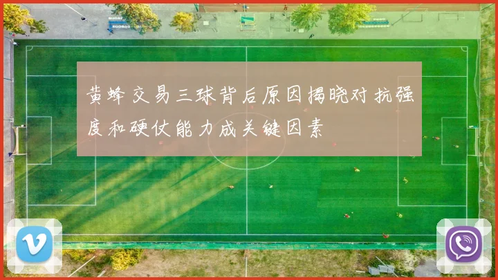 黄蜂交易三球背后原因揭晓对抗强度和硬仗能力成关键因素